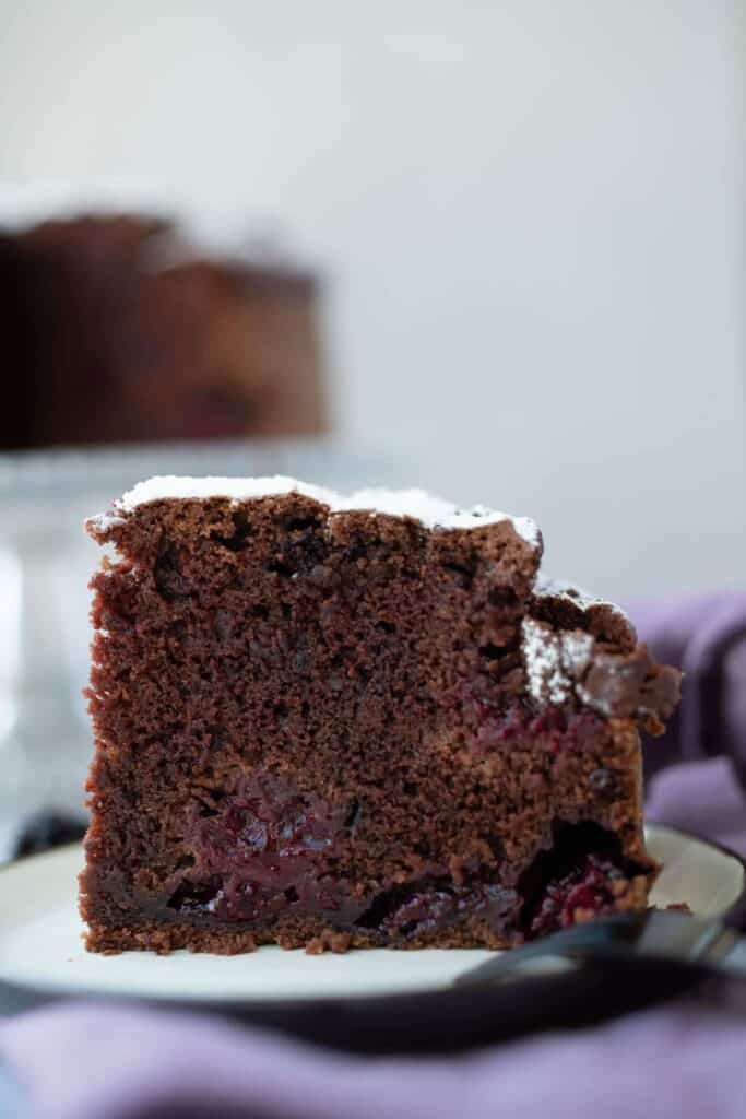 vegan blackberry chocolate cake recipe (gluten free) 1-Bowl