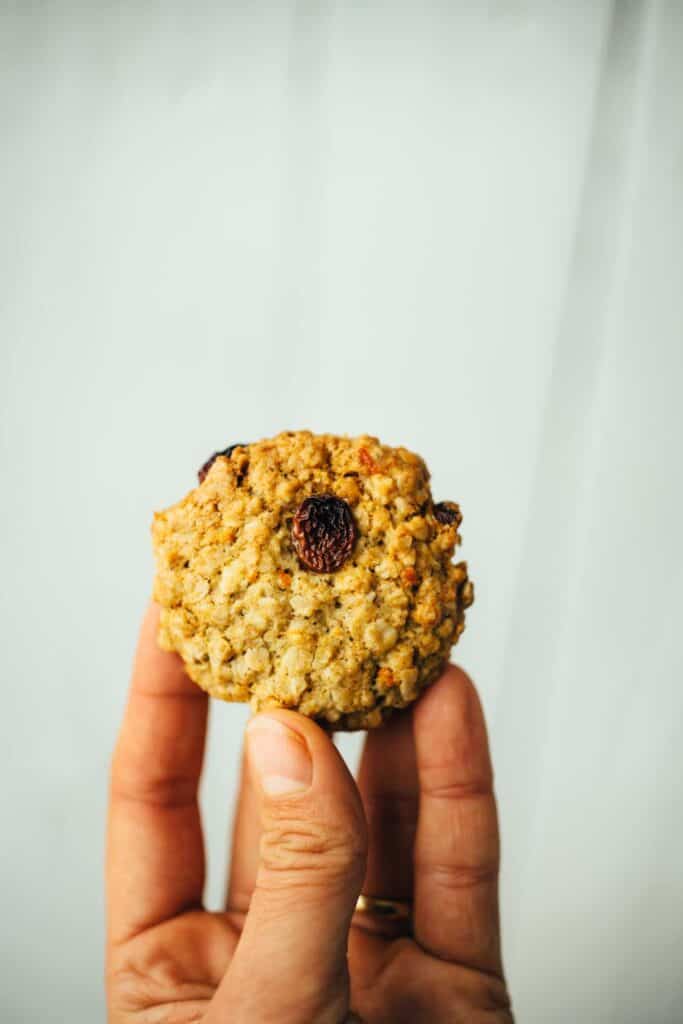 Orange Oat Cookies (25 minutes)