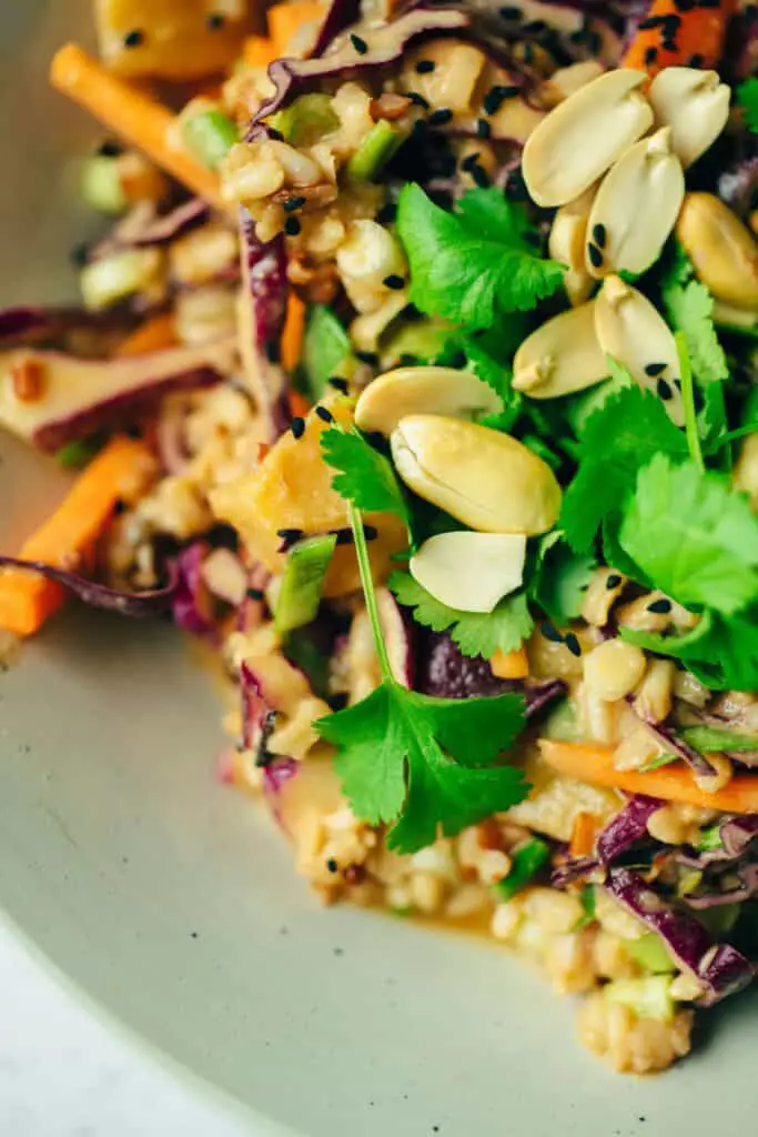 Veganer Reissalat mit Erdnusssauce