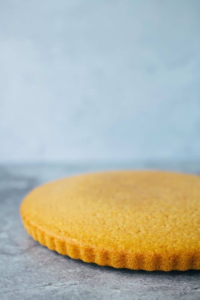 Simple vegan sponge cake base