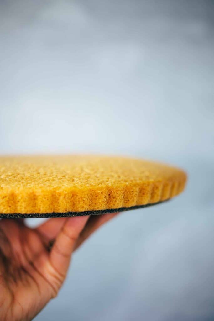 Simple vegan sponge cake base