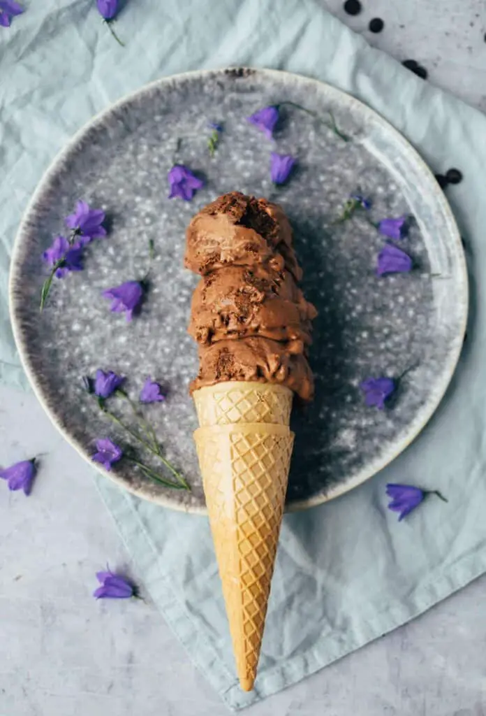 Fudge Brownie ice cream (after Ben &amp; Jerry's)