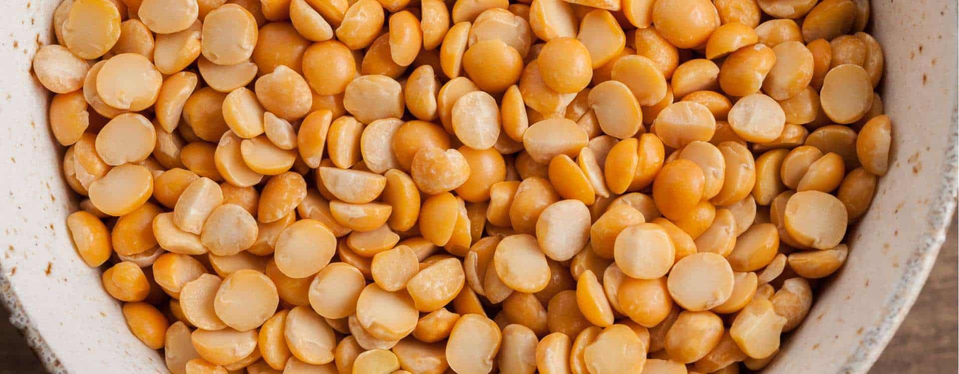 ERBSENPROTEIN Pisum Sativum