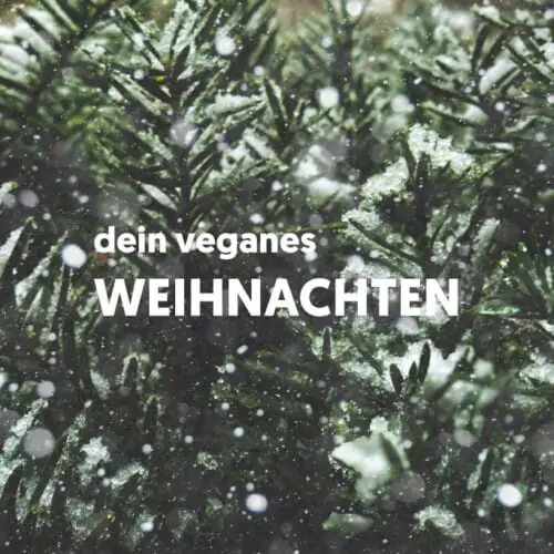 Dein veganes Weihnachtsmenü