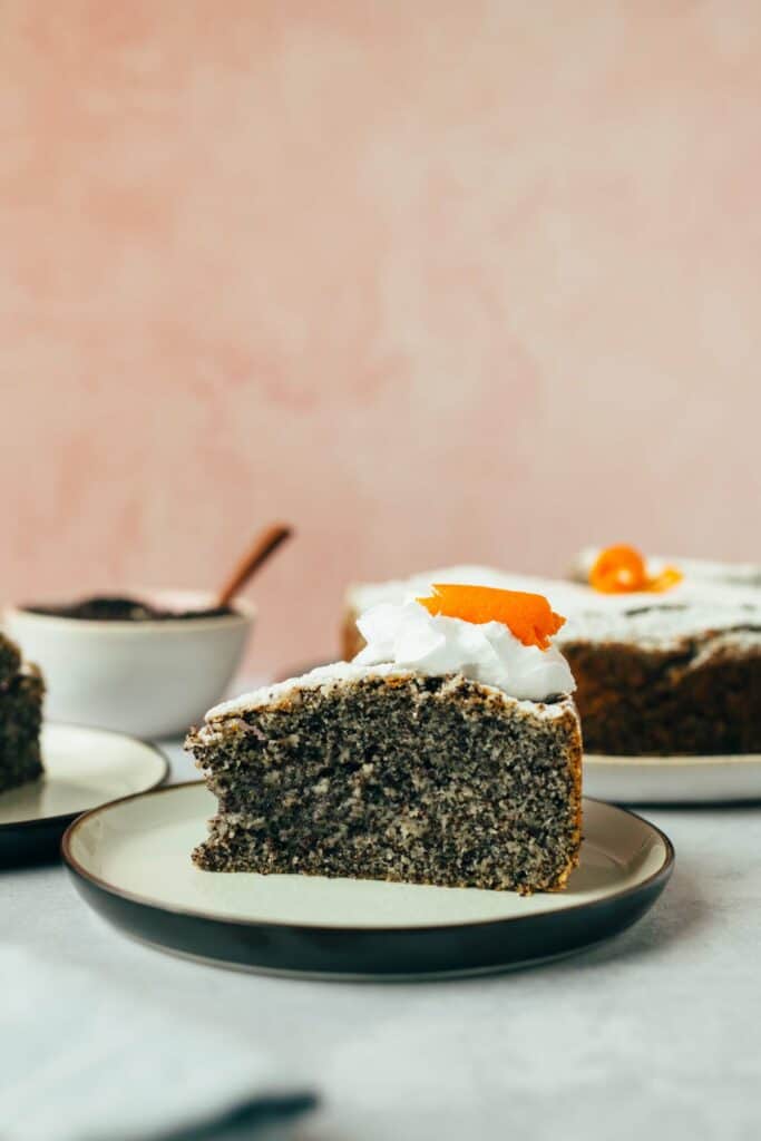 Schneller Mohnkuchen (30 Minuten) vegan & glutenfrei