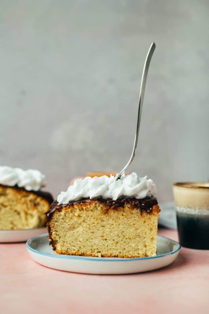 Vanillekuchen mit Schokofrosting (ölfrei)