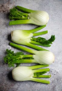 Fenchel