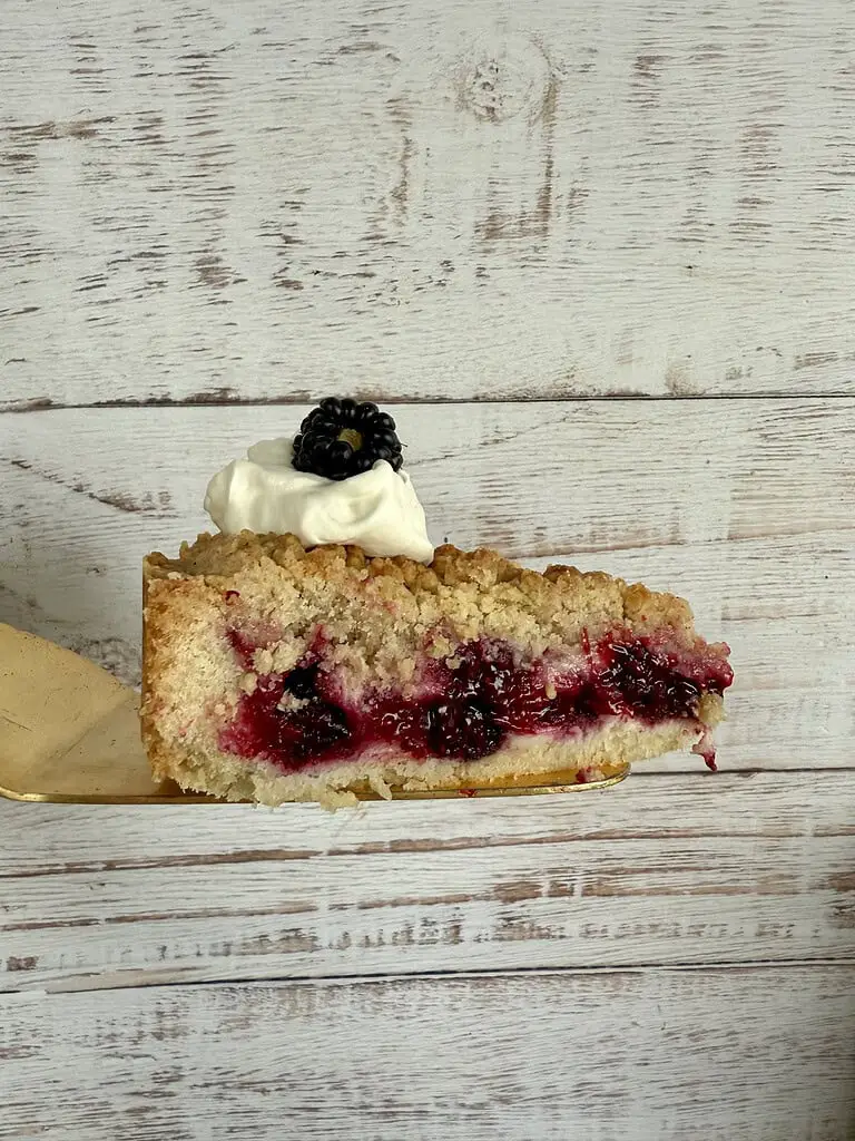 Veganer Brombeer-Streuselkuchen (Rezept)