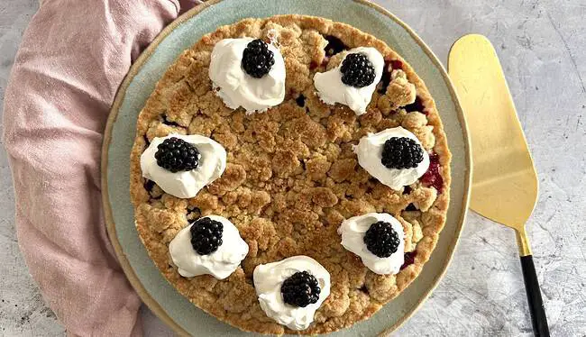 Veganer Brombeer-Streuselkuchen (Rezept)
