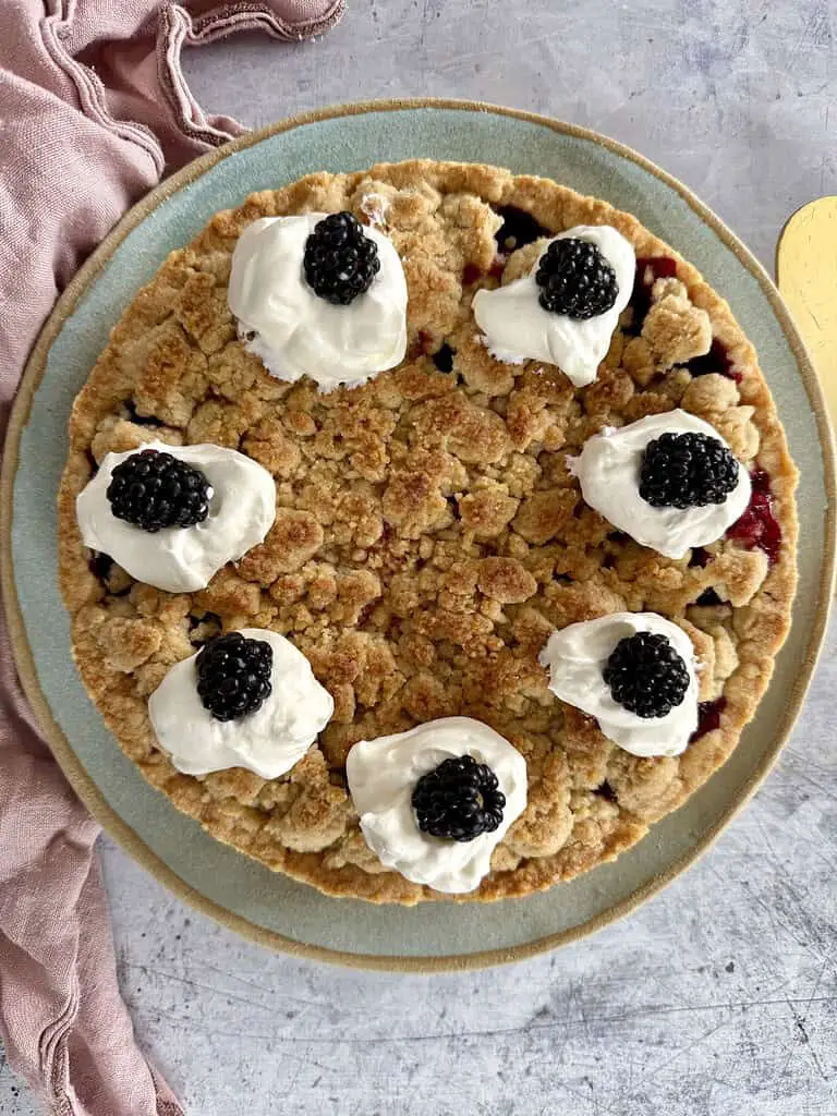 Veganer Brombeer-Streuselkuchen (Rezept)