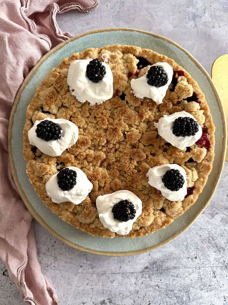 Veganer Brombeer-Streuselkuchen (Rezept)